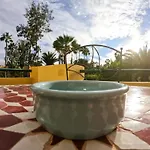 Drago 2 Atlantic Garden Corralejo