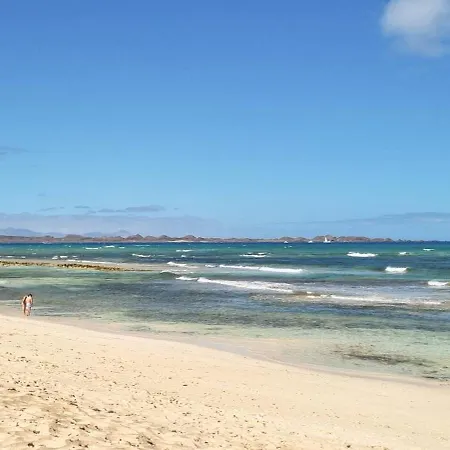 Drago 2 Atlantic Garden Corralejo