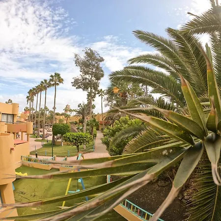 Drago 2 Atlantic Garden Lejlighed Corralejo