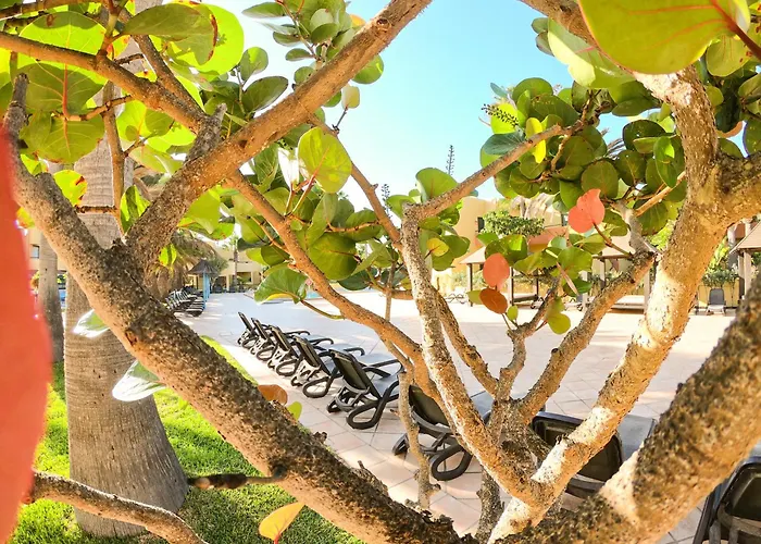 شقة Drago 2 Atlantic Garden *